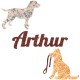 Appliqué thermocollant 2 chiens
