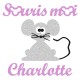 Appliqué thermocollant personnalisé souris moi parme en flex pailleté