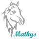Appliqué thermocollant personnalisé profil cheval en flex pailleté gris