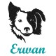Appliqué thermocollant personnalisé garçon chien border collie en flex pailleté
