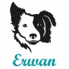 Appliqué thermocollant personnalisé garçon chien border collie en flex pailleté