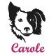 Appliqué thermocollant personnalisé fille chien border collie en flex pailleté