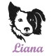 Appliqué thermocollant personnalisé fille chien border collie en flex pailleté