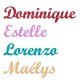 Appliqué thermocollant personnalisé message 30 caractères écriture 4 en flex pailleté