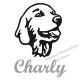 Appliqué thermocollant personnalisé tête de chien en flex pailleté