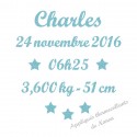 Appliqué thermocollant prénom date taille naissance étoiles en flex pailleté