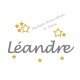 Appliqué thermocollant prénom écriture 5 étoiles jaune en flex pailleté