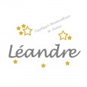 Appliqué thermocollant prénom écriture 5 étoiles jaune en flex pailleté