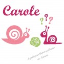 Appliqué thermocollant escargot rose fille en flex pailleté