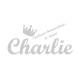 Appliqué thermocollant personnalisé prénom couronne or argent en flex pailleté