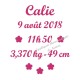 Appliqué thermocollant prénom fleurs date taille naissance en flex velours