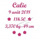 Appliqué thermocollant prénom fleurs date taille naissance en flex velours
