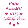 Appliqué thermocollant prénom fleurs date taille naissance en flex velours