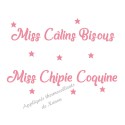 Appliqué thermocollant miss câlins bisous chipie coquine en flex pailleté