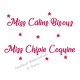 Appliqué thermocollant miss câlins bisous chipie coquine en flex pailleté