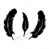 Lot de 3 plumes velours appliqué thermocollant flex