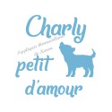 Appliqué thermocollant velours personnalisé petit loup amour