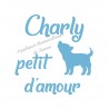 Appliqué thermocollant velours personnalisé petit loup amour