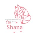 Appliqué thermocollant personnalisé garçon poney origami en flex pailleté