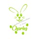 Appliqué thermocollant lapin rigolo velours personnalisé