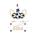 Appliqué thermocollant personnalisé licorne foot équipe de France en flex pailleté