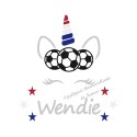 Appliqué thermocollant licorne football France personnalisé en flex pailleté