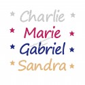 Appliqué thermocollant prénom écriture 11 personnalisé en flex pailleté