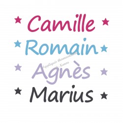Appliqué thermocollant velours prénom écriture 11 personnalisé