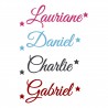 Appliqué thermocollant prénom velours écriture 6 personnalisé