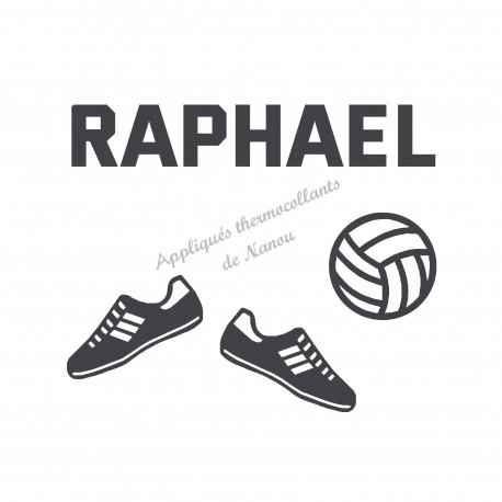Appliqué thermocollant personnalisé ballon volley ball et chaussure en flex velours