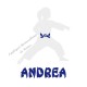 Appliqué thermocollant karaté judo personnalisé fille arts martiaux en flex pailleté