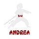 Appliqué thermocollant velours arts martiaux karaté judo personnalisé fille en flex pailleté