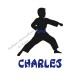 Appliqué thermocollant arts martiaux karaté judo personnalisé garçon en flex pailleté