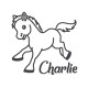 Appliqué thermocollant personnalisé poney avec prénom velours