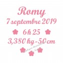 Appliqué thermocollant prénom date taille naissance en flex pailleté