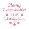 Appliqué thermocollant prénom date taille naissance en flex pailleté