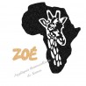 Appliqué thermocollant personnalisé carte Afrique texte en flex pailleté